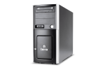 TERRA SERVER 3030 G5 E-2324G/16/2x960/C/WS2022E